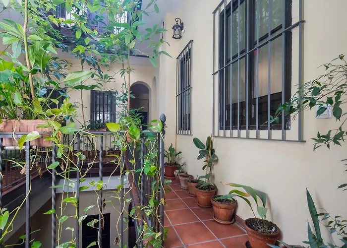 Plaza San Marcos Apartment